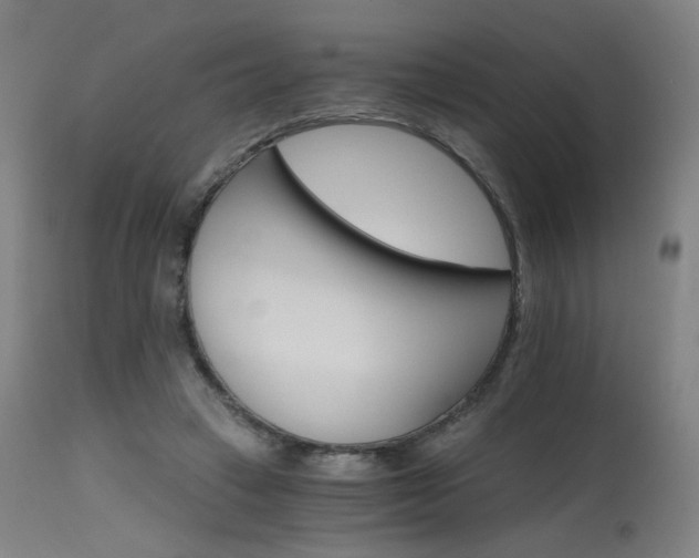 X0000115650449200911101543