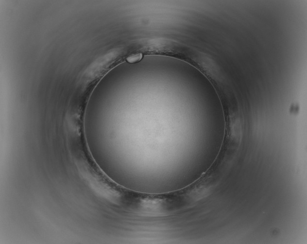 X0000115650450200911101543