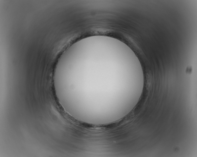X0000115650451200911101543