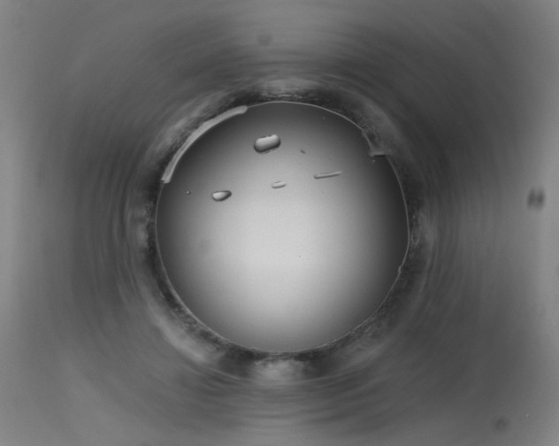 X0000115650452200911101543
