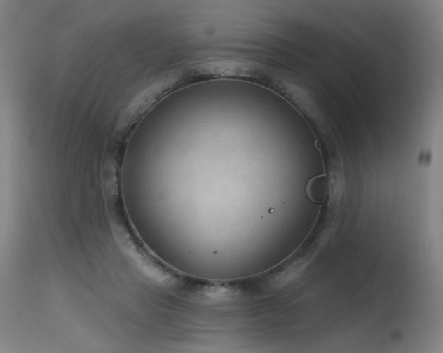 X0000115650453200911101543