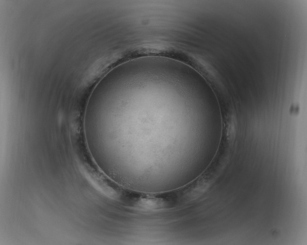 X0000115650455200911101544