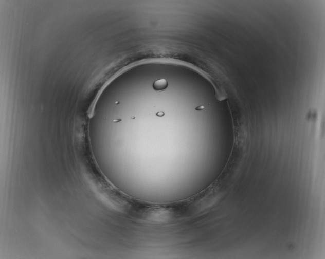 X0000115650456200911101544