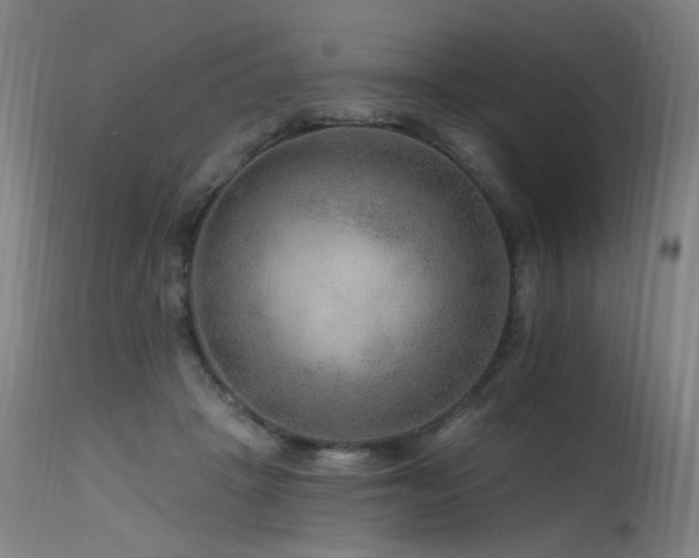 X0000115650457200911101544