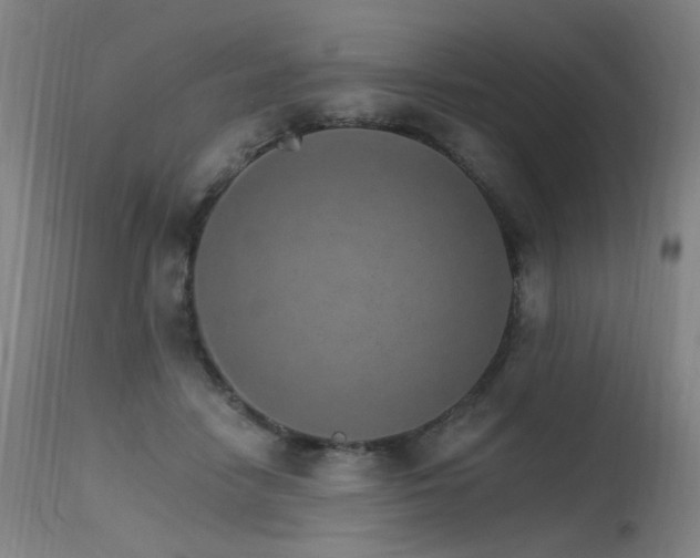 X0000115650458200911101544