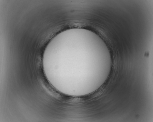 X0000115650459200911101544