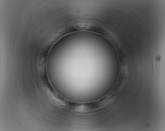 X0000115650460200911101544