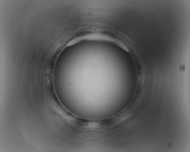 X0000115650462200911101544
