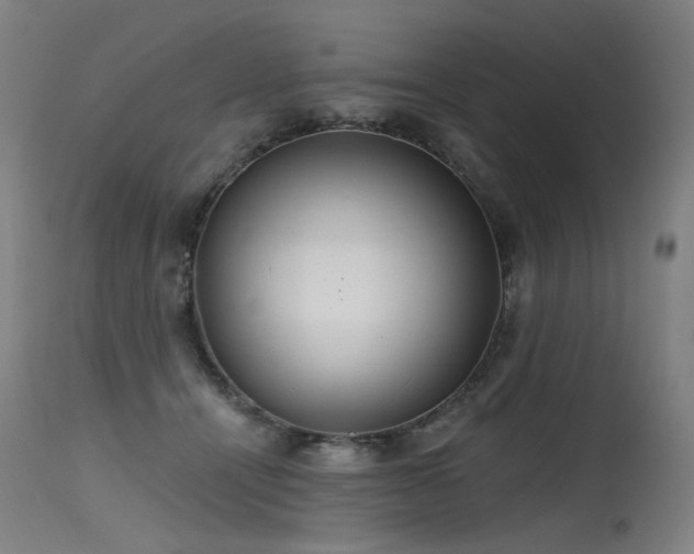 X0000115650464200911101544