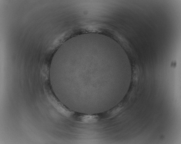 X0000115650465200911101544