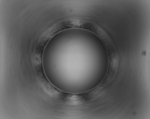 X0000115650467200911101544