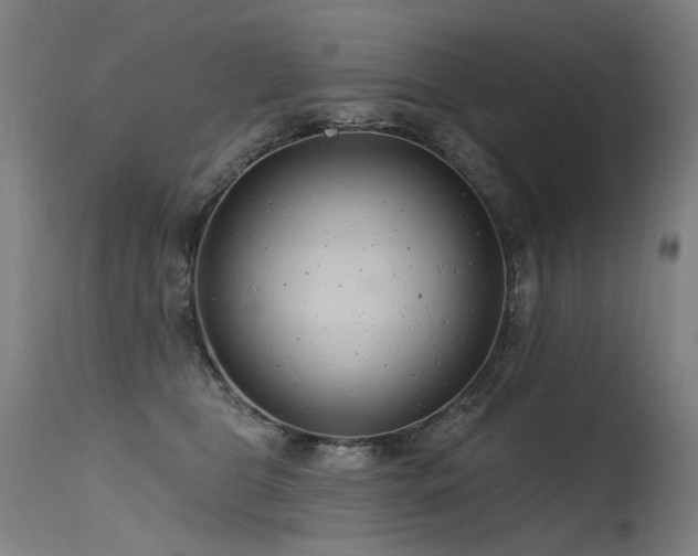 X0000115650469200911101544
