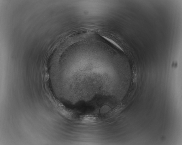 X0000115650471200911101544