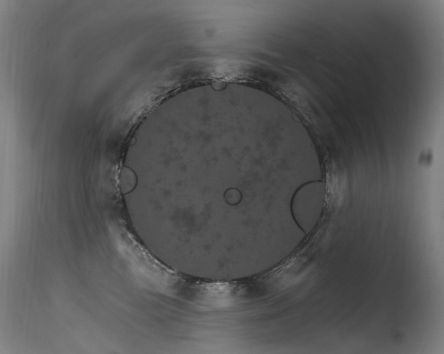 X0000115650473200911101544
