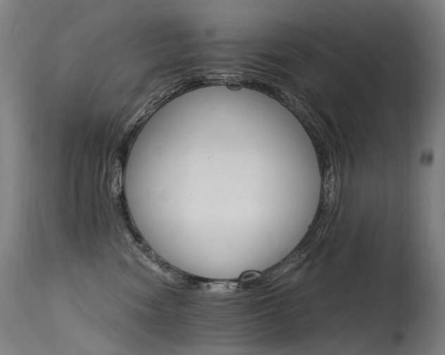 X0000115650474200911101544