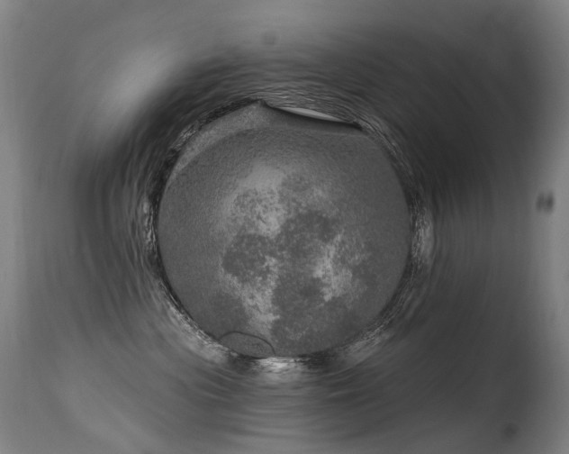X0000115650477200911101544
