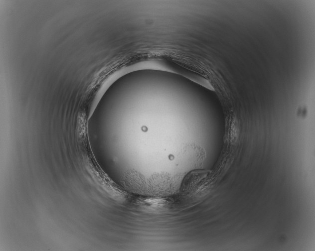 X0000115650478200911101544