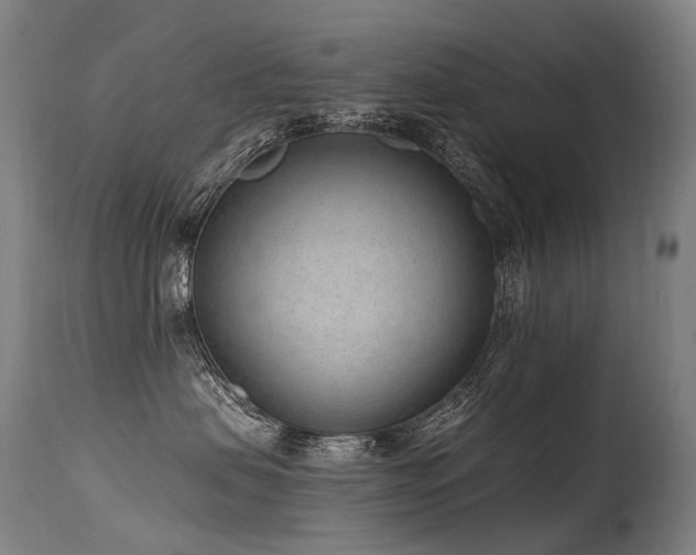 X0000115650479200911101544
