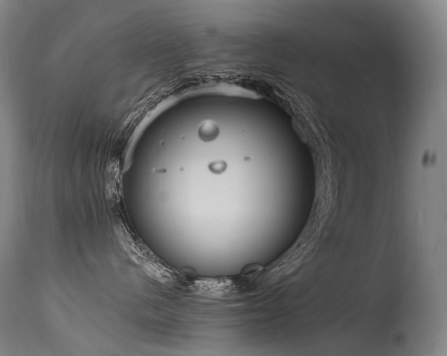 X0000115650480200911101544