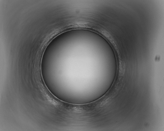 X0000115650481200911101543