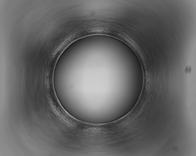 X0000115650482200911101543