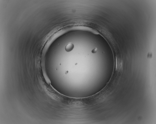 X0000115650483200911101543
