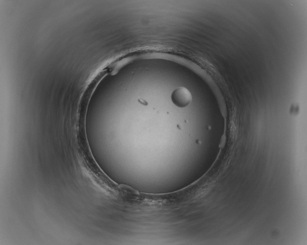 X0000115650484200911101543