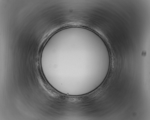 X0000115650486200911101543