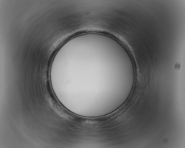 X0000115650487200911101543
