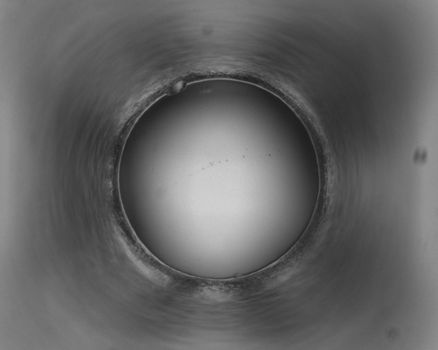 X0000115650489200911101543