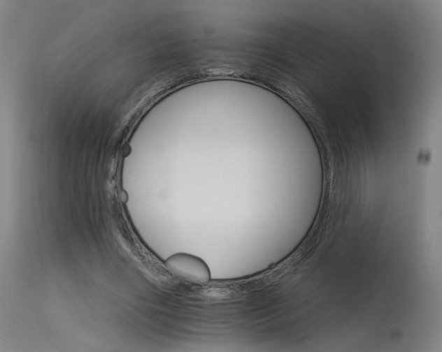 X0000115650490200911101543