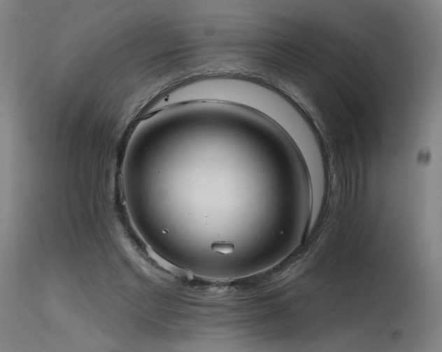 X0000115650493200911101543