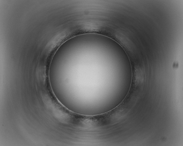 X0000115650494200911101543