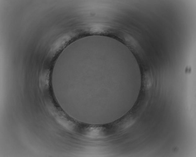 X0000115650495200911101543