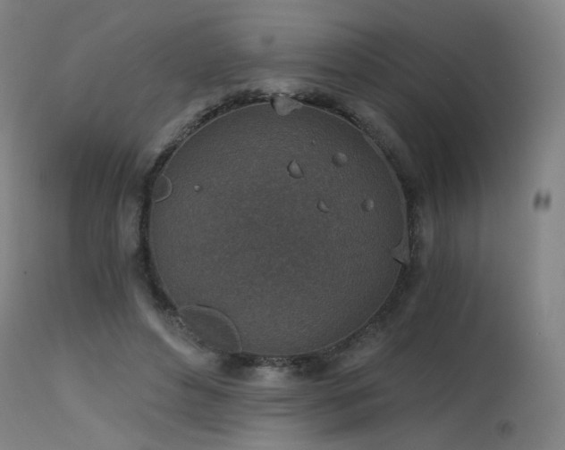 X0000115650496200911101543