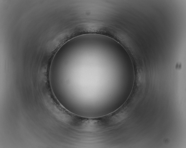 X0000115650497200911101543