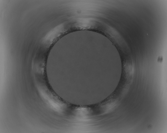 X0000115650499200911101543