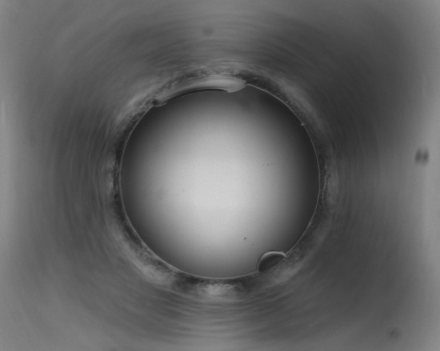 X0000115650501200911101543