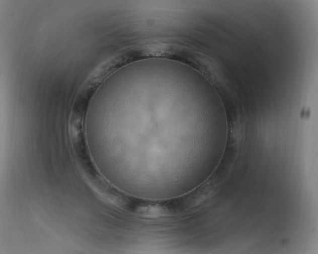 X0000115650503200911101543