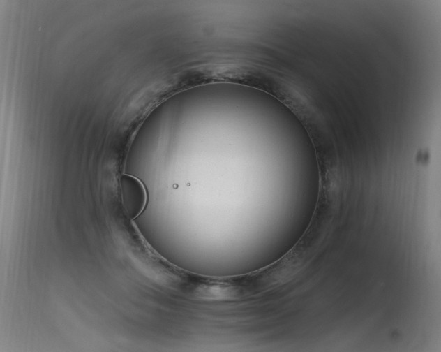 X0000115650506200911101543