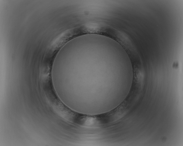 X0000115650507200911101543