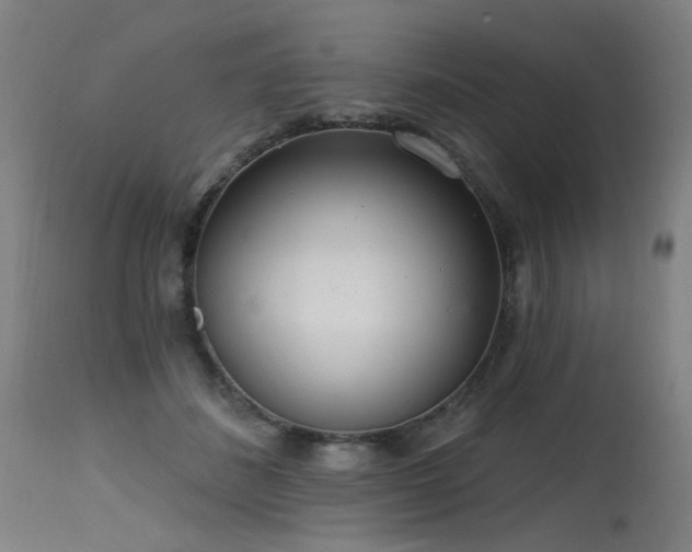 X0000115650508200911101543