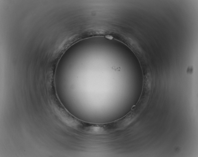 X0000115650509200911101543
