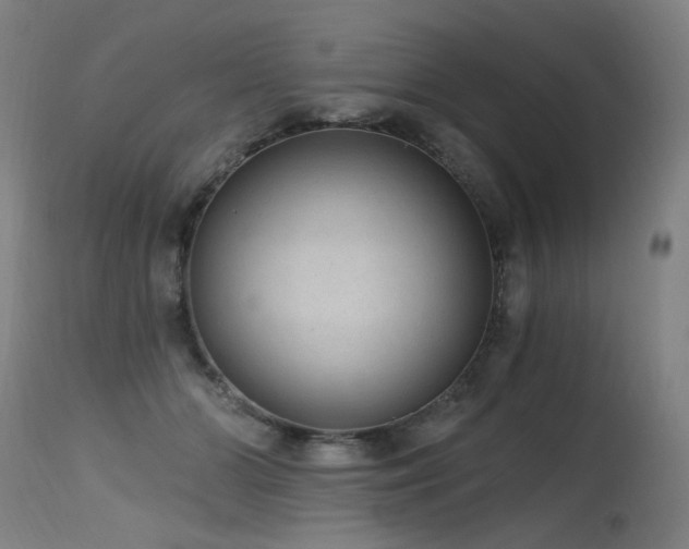 X0000115650510200911101543