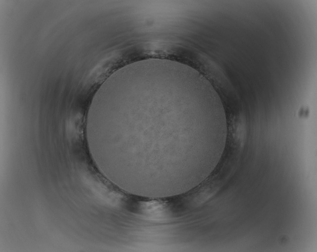 X0000115650511200911101543