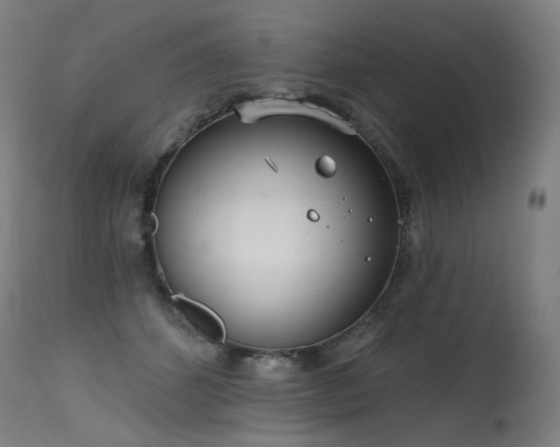X0000115650512200911101543