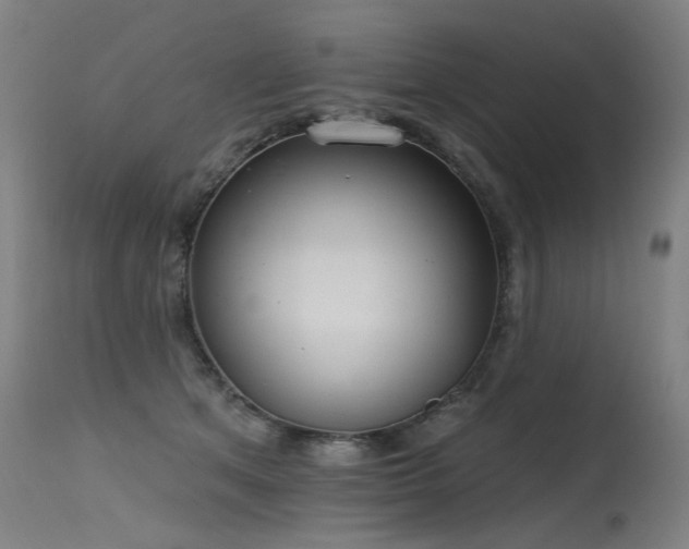 X0000115650513200911101543