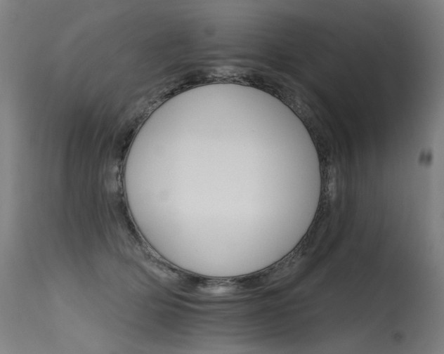 X0000115650514200911101543