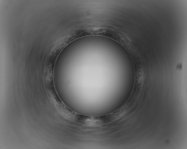 X0000115650515200911101543