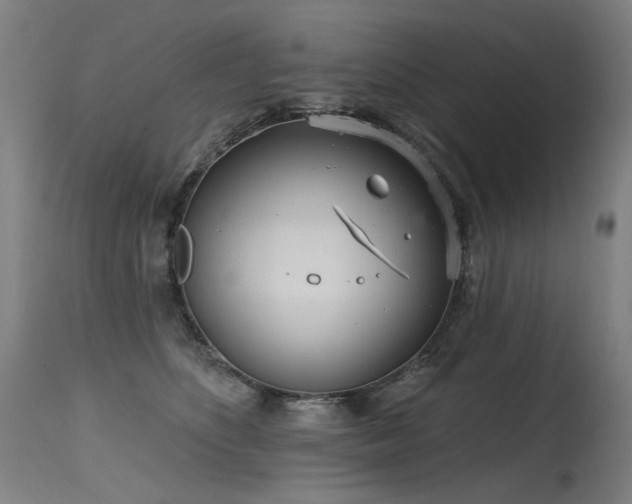 X0000115650516200911101543